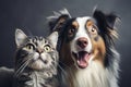 Curious dog and cat with a surprise expression staring at the camera with blank space for text