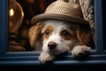 Curious dog in hat peers from window, exuding fashionable intrigue