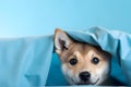 A curious dog hiding under a cozy blanket. AI Generated Royalty Free Stock Photo