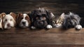 Adorable dogs and cats peek over a web banner, inviting viewers into a world of furry companionship. Ai Generated Royalty Free Stock Photo