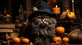 A curious feline wearing a festive pumpkin-patterned hat evokes a playful halloween spirit