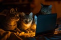 Curious Felines Gather Round, Captivated By The Glowing Laptop Display
