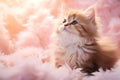 Curious fluffy kitten in peach fuzz feathers. Little cat sitting in luxurious soft pink fur. Adorable cat background, cozy vibe.