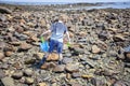 Boy exploring tide pools on New Hampshire coast Royalty Free Stock Photo