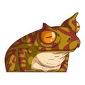 A Curious Frog, isolated vector illustration. Cartoon picture of a horned frog looking at something with interest. Drawn animal Royalty Free Stock Photo