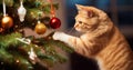 Curious ginger cat exploring shiny baubles on a decorated Christmas tree in a living room