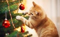 Curious ginger cat gently touching Christmas tree decorations with a paw, in a warm indoor setting Royalty Free Stock Photo