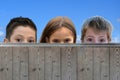 Three friends behind a wooden fence