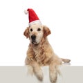 Curious golden retriever dressed as santa lying