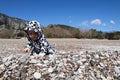 Curious happy little baby child crawling on the pebble beach in Cirali, Turkey under blue sky Royalty Free Stock Photo