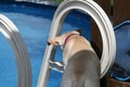 Curious Dog Outdoor at the Pool Looks at the Water. Summer, Happy Playtime and Having Fun on the Deck.