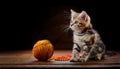 A curious kitten sits beside a ball of yarn and a string of amber beads, its eyes sparkling with mischief Royalty Free Stock Photo