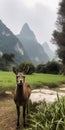 Curious Korean Musk Deer in mountains, AI generative
