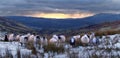 Curious Lakeland sheep.