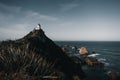 curious lighthouse on top of a rock in a quiet place near the cliff the stones and rocks of the sea, nugget point, new Royalty Free Stock Photo