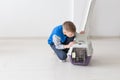 Curious little positive boy looking on a cage with a scottish fold cat. Pet protection concept. Royalty Free Stock Photo