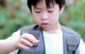 Curious little young Asian boy looking at cicada molt on his hand in the garden. Exploring the world, outdoors activity