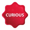 Curious misty rose red starburst sticker button