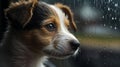 A curious mixed-breed puppy peering through a rain-streaked window on a misty afternoon, AI generated