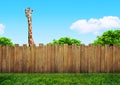 Curious neighbor behind backyard fence Royalty Free Stock Photo