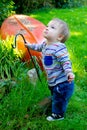 Curious One Year Old Boy Royalty Free Stock Photo