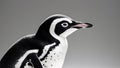 A curious penguin looks sideways on a black background Royalty Free Stock Photo