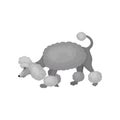 Curious poodle puppy walking and sniffing around. Small dog with gray fluffy hair. Home pet. Flat vector icon