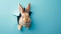 Curious Rabbit Peeking Through a Torn Blue Paper Wall. Generative ai Royalty Free Stock Photo