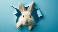 Curious Rabbit Peeking Through a Torn Blue Paper Wall. Generative ai Royalty Free Stock Photo