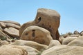 Curious rock formations in Joshua Tree National Park Royalty Free Stock Photo