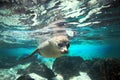 Curious sea lion underwater Royalty Free Stock Photo