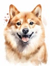 Curious Shiba Inu Sitting on White Background AI Generated