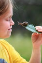 Curious snail Royalty Free Stock Photo