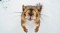 Curious squirrel close-up on snowy ground with whiskers and bright eyes in winter wonderland setting