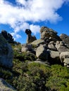 Curious stones with dinosaurs head shape during a hike