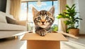 Curious Tabby Baby Cat Peeking out From an Open Cardboard Box - Generative Ai Royalty Free Stock Photo