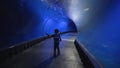 Curious tourist kid in aquarium tunnel admiringly looks at different fish that swim in water