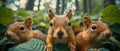 Curious Trio: Baby Squirrels\' Enchanting Encounter. Concept Wildlife Photography, Nature