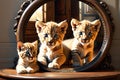 Curious Whiskers: Realistic Painting of Kitten on Wooden Table Surface, Peering Curiously into a Round Antique Framed Mirror