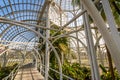 Interior of Greenhouse at Curitiba Botanical Garden - Curitiba, Parana, Brazil Royalty Free Stock Photo