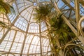 Interior of Greenhouse at Curitiba Botanical Garden - Curitiba, Parana, Brazil Royalty Free Stock Photo