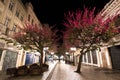 Famous November 15 Walkway at Night Royalty Free Stock Photo