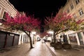 Famous November 15 Walkway at Night Royalty Free Stock Photo