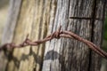 Curl of Barbed Wire Royalty Free Stock Photo