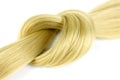 Curl female healthy hair lock tied in knot. Concept hairdresser spa salon