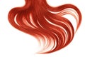 Curl of natural red hair on white background Royalty Free Stock Photo