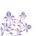 Curled blue pink floral ornament isolated on white