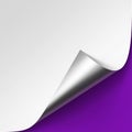 Curled Metalic Silver corner of White paper with shadow Mock up Close up on Violet Purple Lilac Background Royalty Free Stock Photo