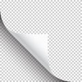 Curled page corner with shadow on transparent background. Blank sheet of paper. Vector illustration. Royalty Free Stock Photo