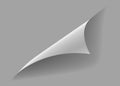 Curled paper corner. Curve page corner, page edge curl and bent paper sheet with realistic shadow. Paper corner fold Royalty Free Stock Photo